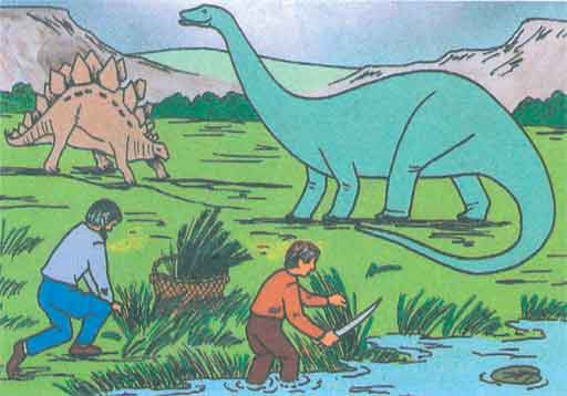 Image result for schools' curriculum downplays slavery, says humans and dinosaurs lived together